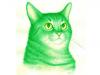   green_cat